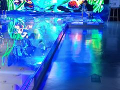 -贝壳王国博物馆
