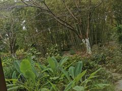 -阳澄湖费尔蒙酒店颐丰阁中餐厅(马鞍山西路店)
