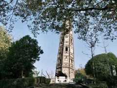 -上海佘山国家森林公园天马山园