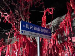 -泰山风景名胜区