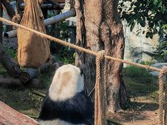 -泉州海丝野生动物世界