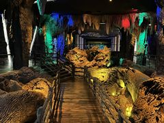 -乐山乌木文化博览苑