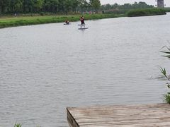 -春花秋色城市公园