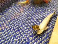 大堂-沙河粉村·国家非遗传承(云台店)