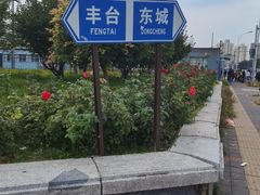 -百荣世贸商城