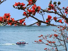 -海南霸王岭国家森林公园