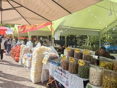 -风云岭森林公园