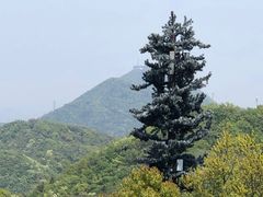 -杭州半山国家森林公园