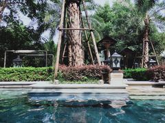 -苏州湾王焰温泉度假酒店