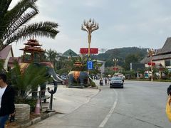 -打洛口岸