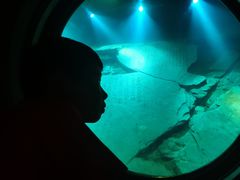 -白鹤梁水下博物馆