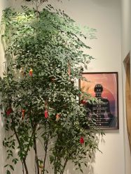 -Y+U遇瑜伽·普拉提