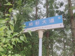 -上海长兴岛郊野公园