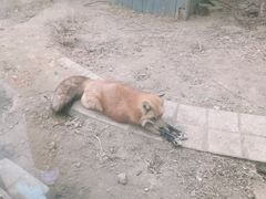 -无锡动物园·太湖欢乐园