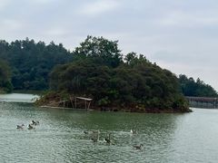 -广州白江湖森林公园