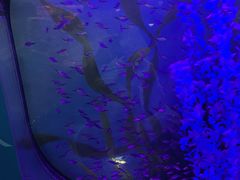 -沙沙哗啦海洋馆(华宇百花谷店)