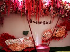 -荷兰花海