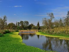 -桤木河湿地公园