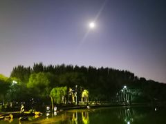 -丁香湖公园