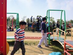 -上海长兴岛郊野公园