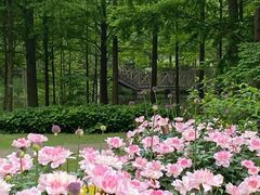 -上海辰山植物园