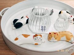 -猫里有甜