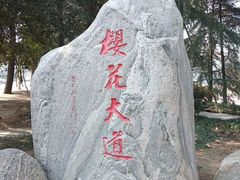 -武汉大学-樱园