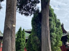 -报恩寺(平武县)