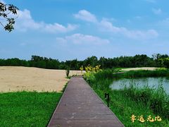 -东郊湿地公园