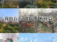 -南京市溧水区傅家边梅花山弄山庄