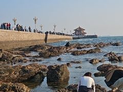 -栈桥景区