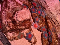 -沈阳海洋探索中心