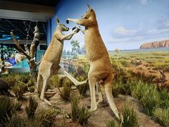 -陕西自然博物馆