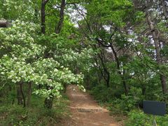 -萨尔浒风景区
