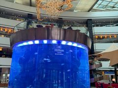 -OPEN開全日自助餐厅·西餐·海鲜(佛山希尔顿酒店)