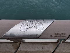 -星光大道