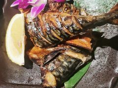 -古田居·特色寿司料理(星之岛旗舰店)