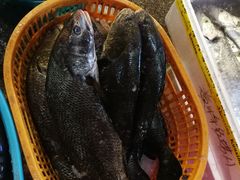 -华威西营里农产品批发市场