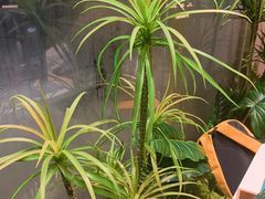 -聚汇坊椰子鸡·山野菌(环市东店)