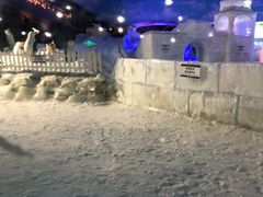 -世界之窗阿尔卑斯冰雪世界