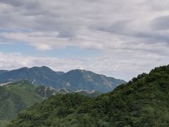 -四川简阳羊肉汤火锅(望花路西里店)