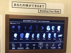 -日本科学未来馆