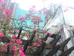 -陶然居·重庆菜(南滨路店)