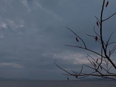 -深圳湾公园(南山区)