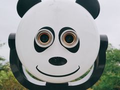 -青岛电视塔