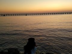 -宝安西湾红树林湿地公园