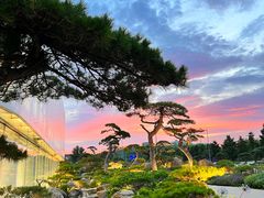 -罗红摄影艺术馆