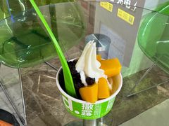 -Salud撒露欧洲冻酸奶(北苑上品店)