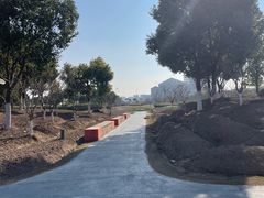 -春花秋色城市公园