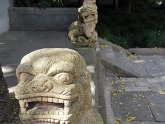 -秋霞圃